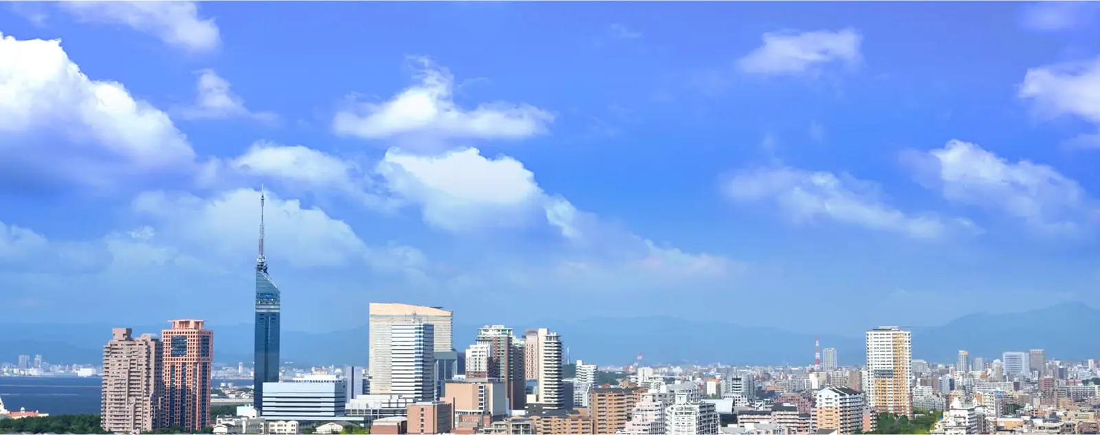 教育施設から市営住宅まで豊富な実績を誇ります。